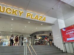 Lucky Plaza (D9), Shop House #501547891